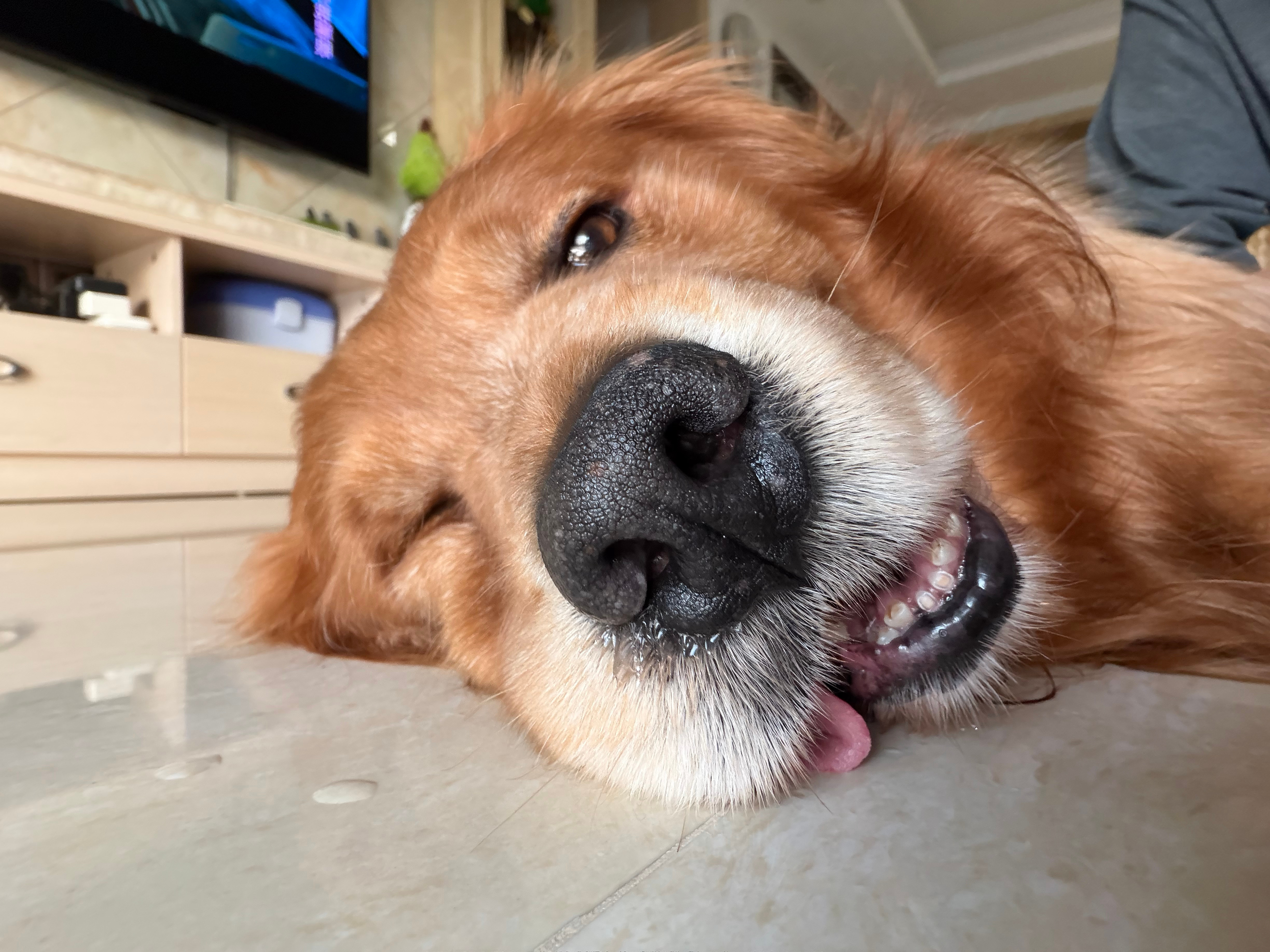 开工第二天，状态如下⬇️ 