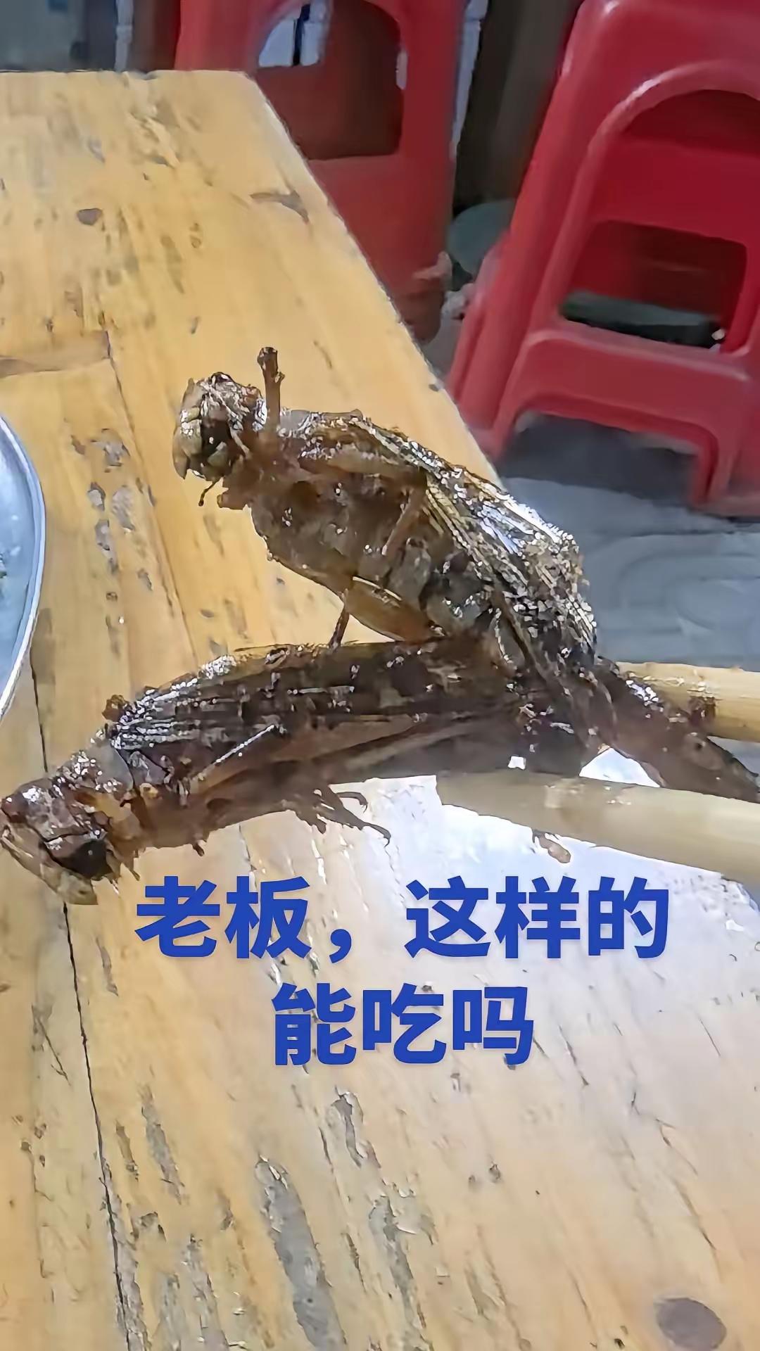 藕断丝连，就不能分开炸啊。在天愿作比翼鸟，在地愿为连理枝。天长地久有时尽，此恨绵