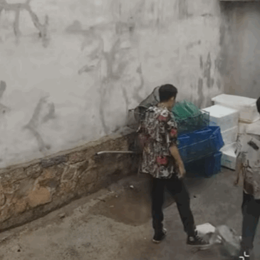邢武不愧是海边生的，这网兜用得就是6