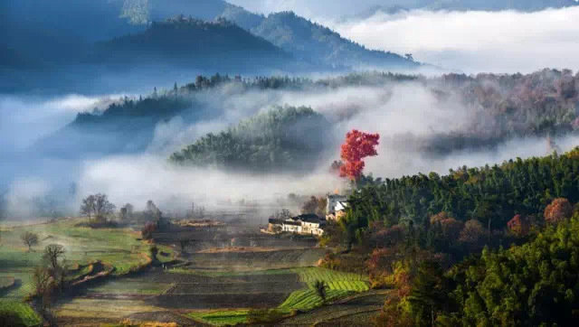 在徽州，总有一种风景，温暖了心，走进了梦。 