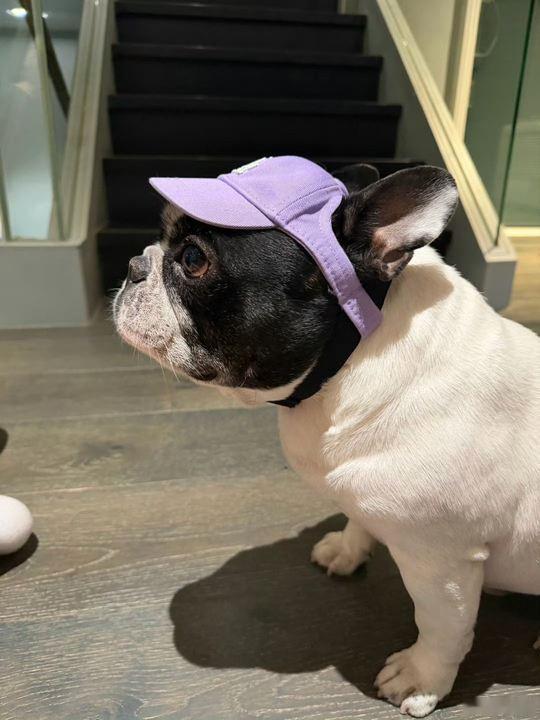 哈哈哈哈哈馒头真不能再吃了 