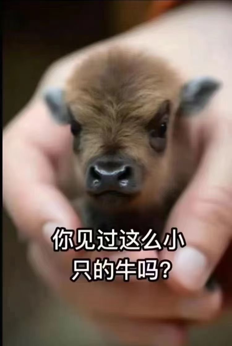 老东家请客过重阳节2024年 ​​​