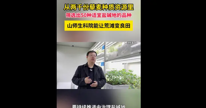 盐碱地里也能长藜麦！山师让荒滩变“粮仓”