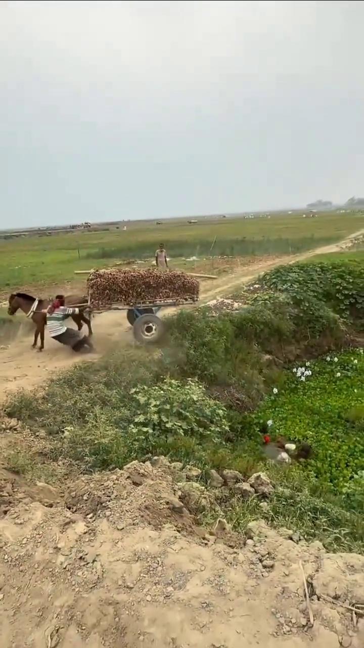 啊，啊，啊，啊，啊，啊，啊，啊，啊，啊，啊，啊，啊，啊，啊，啊。