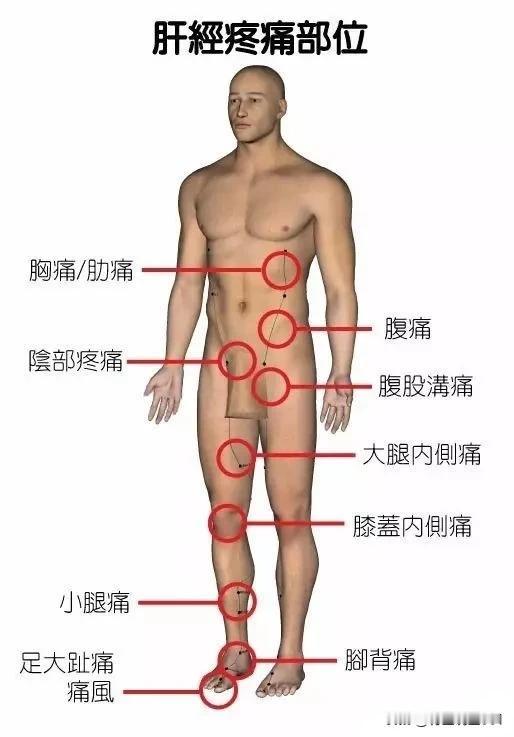 身体疼痛预警：这些信号，千万不可忽视！

在繁忙的生活中，我们时常会忽略身体发出