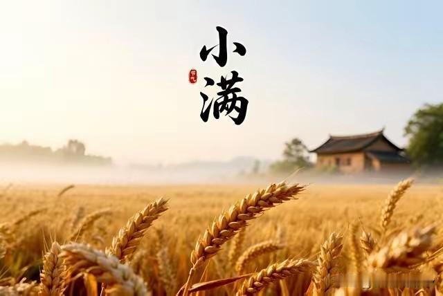 今日8点36分小满，提醒大家：1要祭，2要祈，3要吃，4要抢
 
今天8点36分