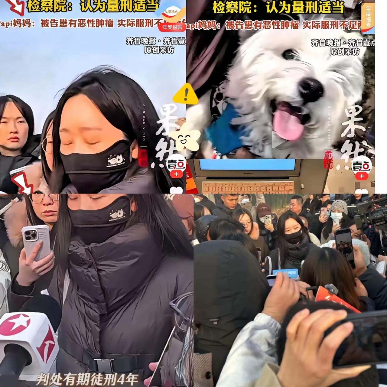 真是欺人太甚！张老汉一审被判4年还没喊冤，李女士倒先拉着10个狗主人联名抗诉，非