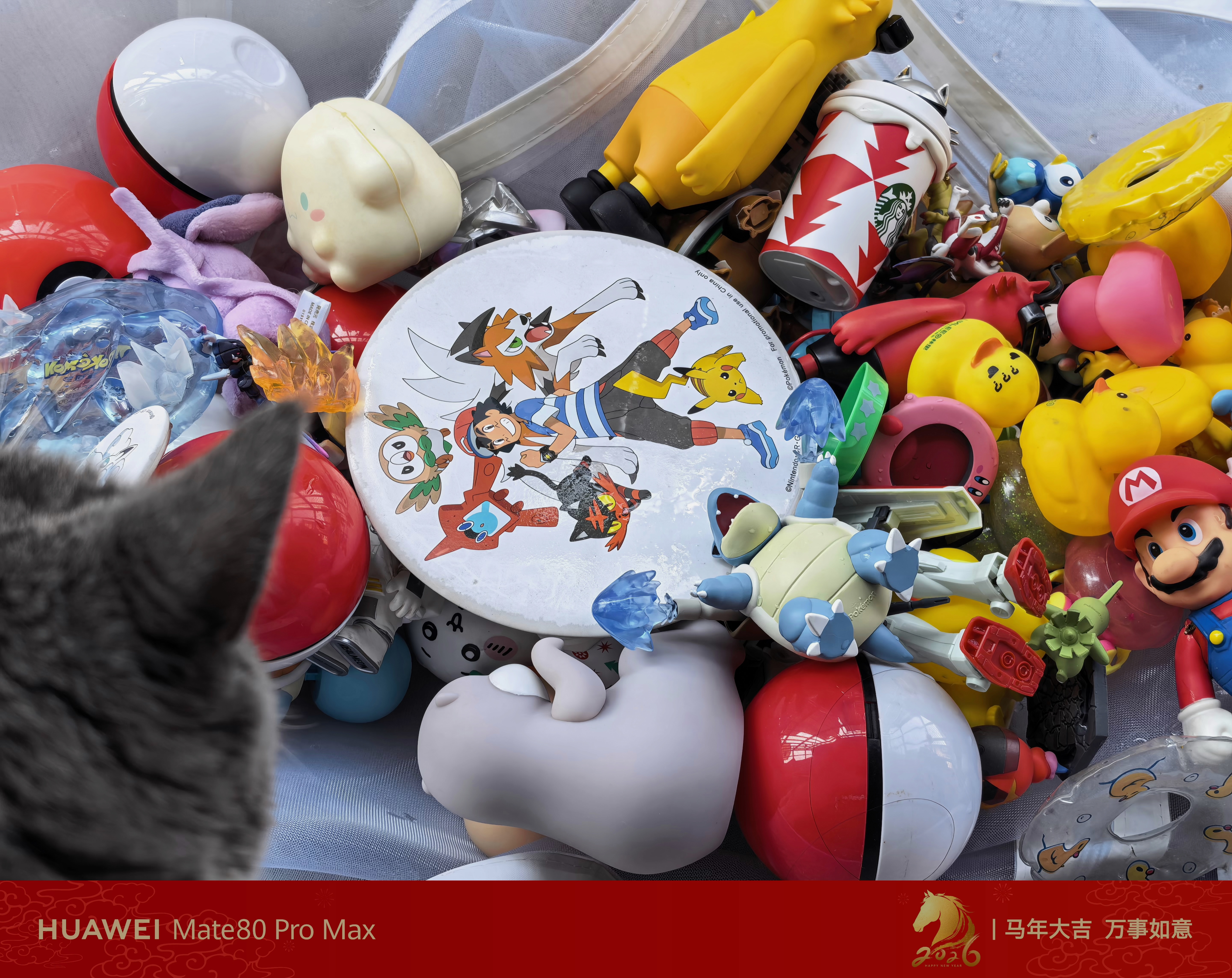 今天大扫除，洗了一大堆积灰大半年的公仔