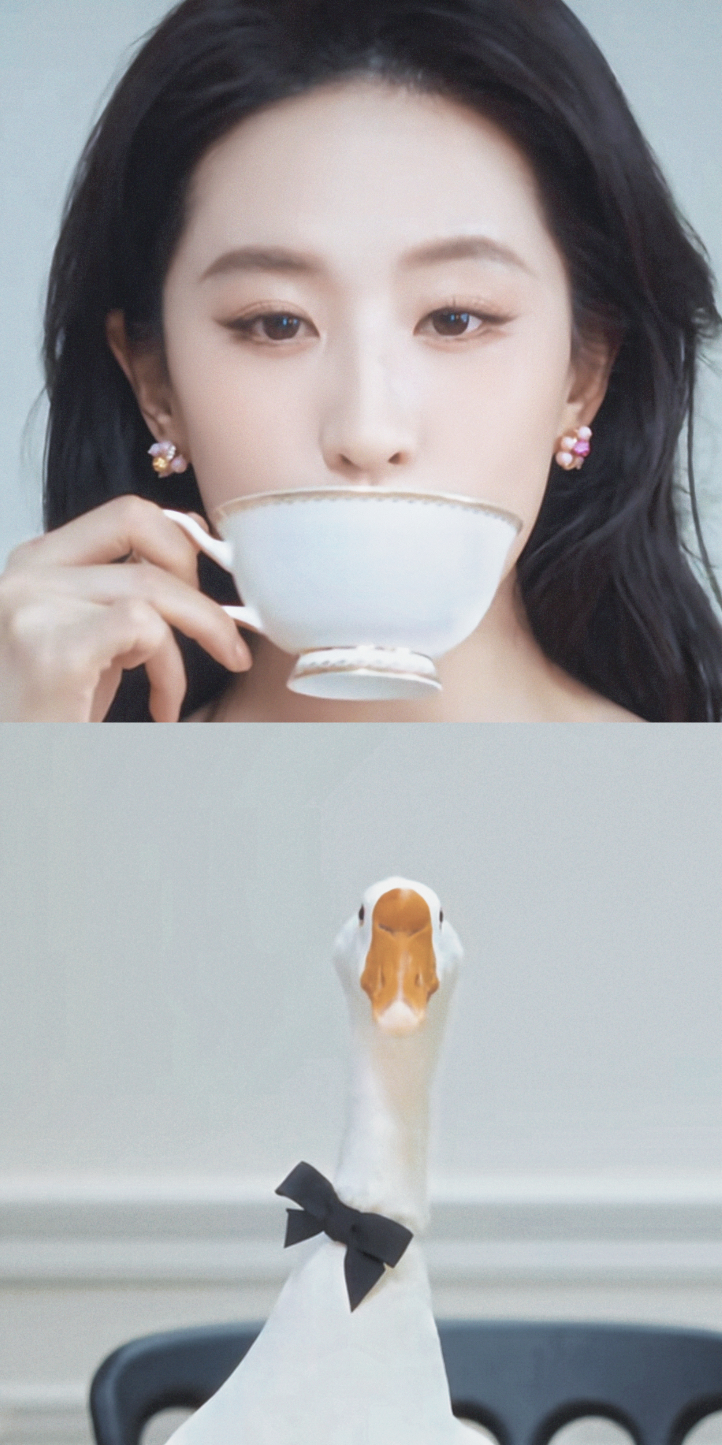 好多人问为什么对面坐的是大白鹅因为啊鹅🪿就是额，额=我，此图寓意《我跟刘亦菲》