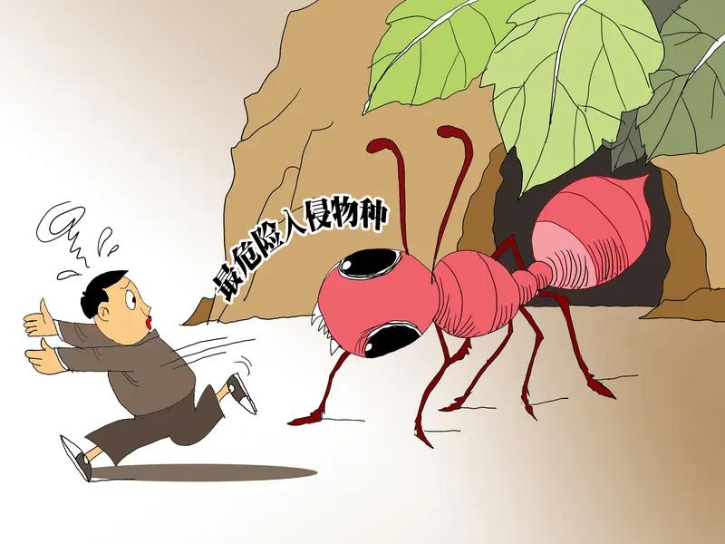 3月23日江西，女孩站车前未超20秒就被红火蚁咬伤。妈妈心疼：它一挨着肉就咬，伤