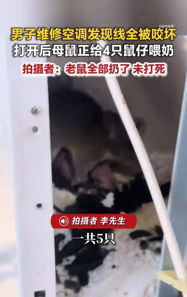 广东云浮这事儿，说出来都让人觉得离谱又好笑。
一家工厂的空调坏了，老板请维修师傅