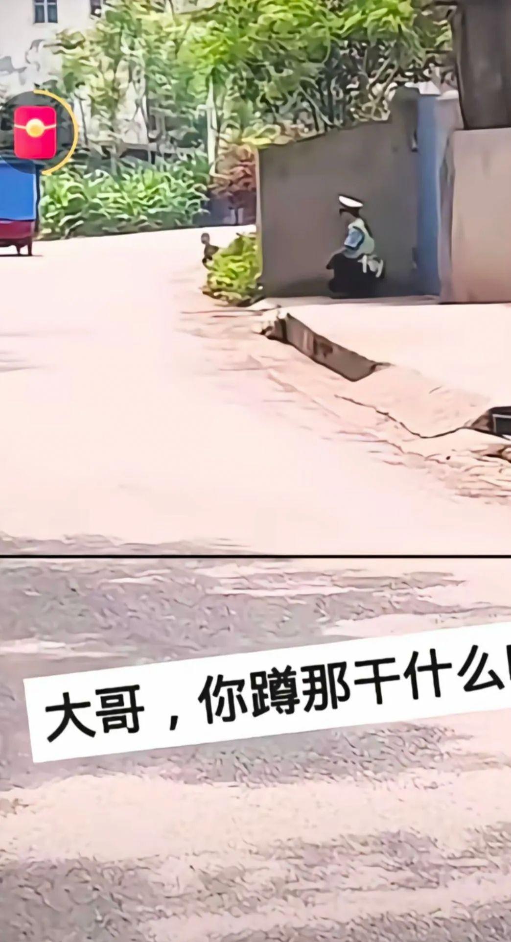 以后出门都提心吊胆的！！