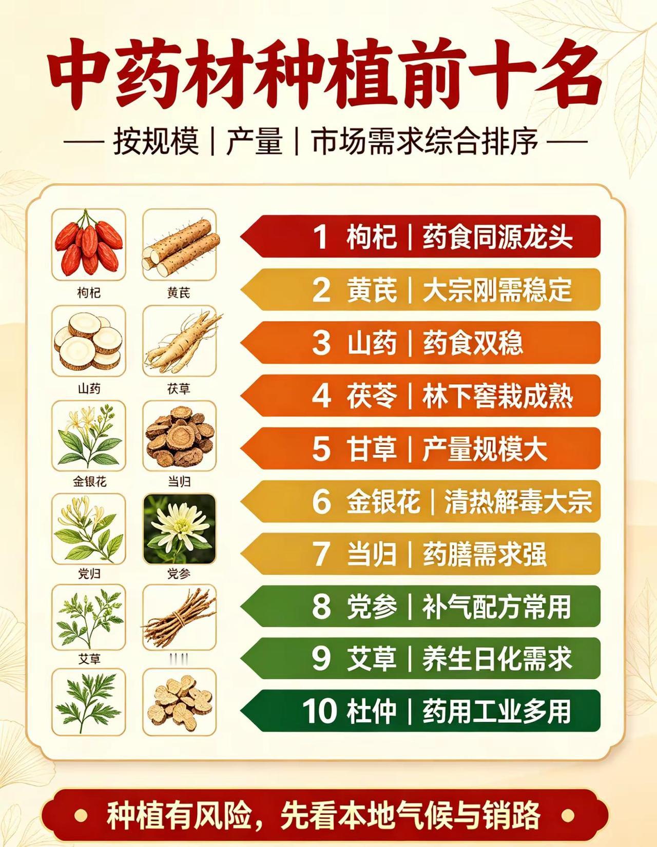 中药材种植排行榜前十名，规模&收益双维度。中药材种植排行榜前十名!一、全国种植规