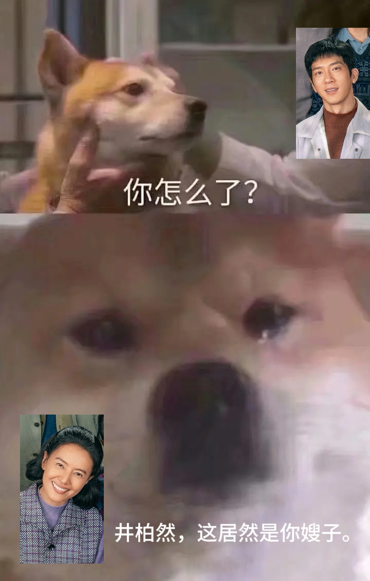 井柏然高圆圆不演cp演叔嫂 他俩合作竟然不演cp演叔嫂，不过叔嫂怎么不算搭档呢。