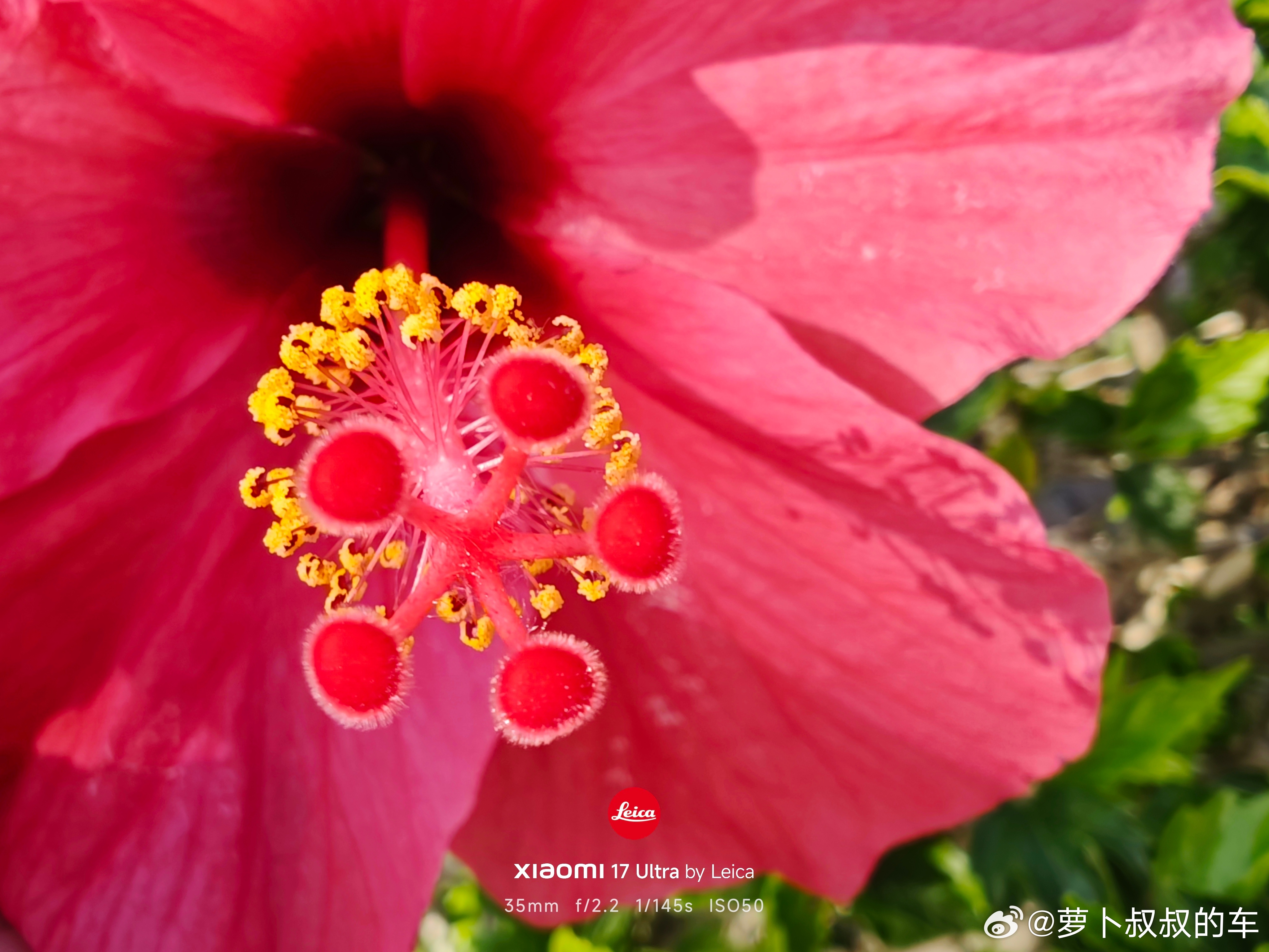 南沙这天气真的太舒服了，阳光无限好，未来风光无限。 广州·南沙滨海公园