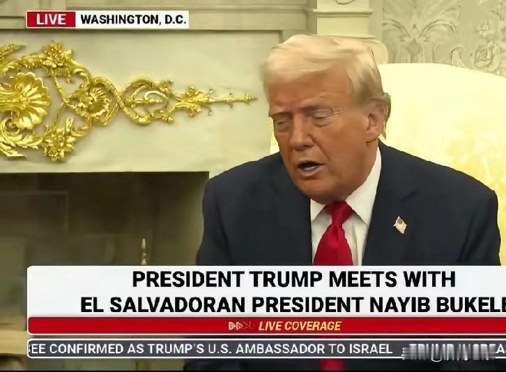 特朗普这点评泽连斯基真是一针见血。据美媒报道，泽连斯基打算花150亿美元从美国买