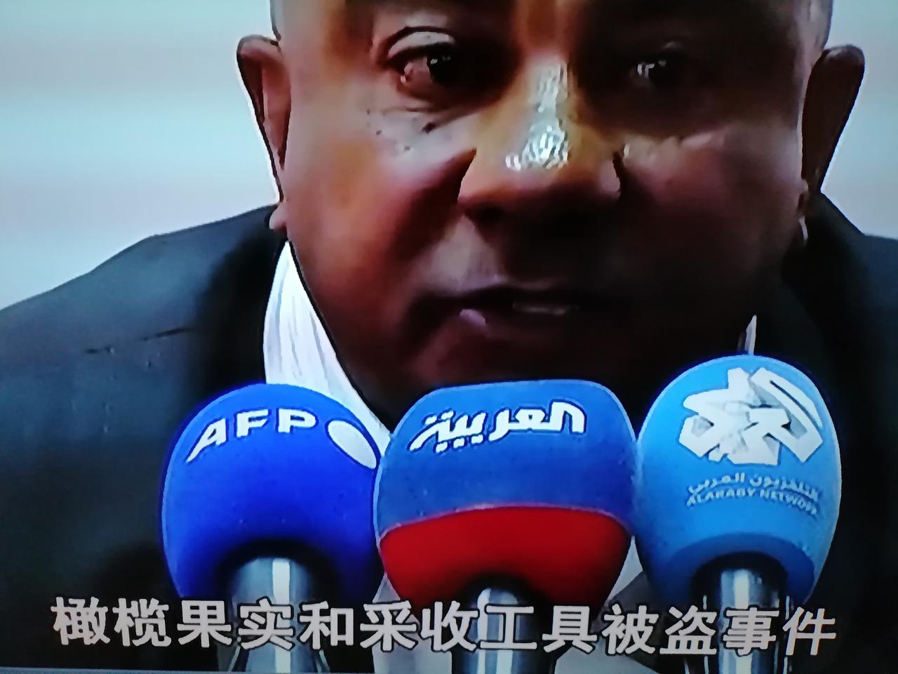 西岸“吞并”与加沙“驱赶”，以色列的两线战略与哈马斯的困局

近期，以色列议会推