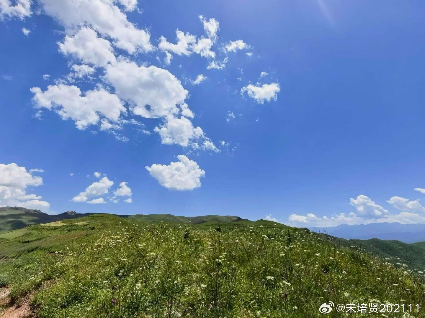 原创诗词 大暑羁思风逐浮云过，拾翠踏晴坡。远方音讯无，冰心驱流火。 