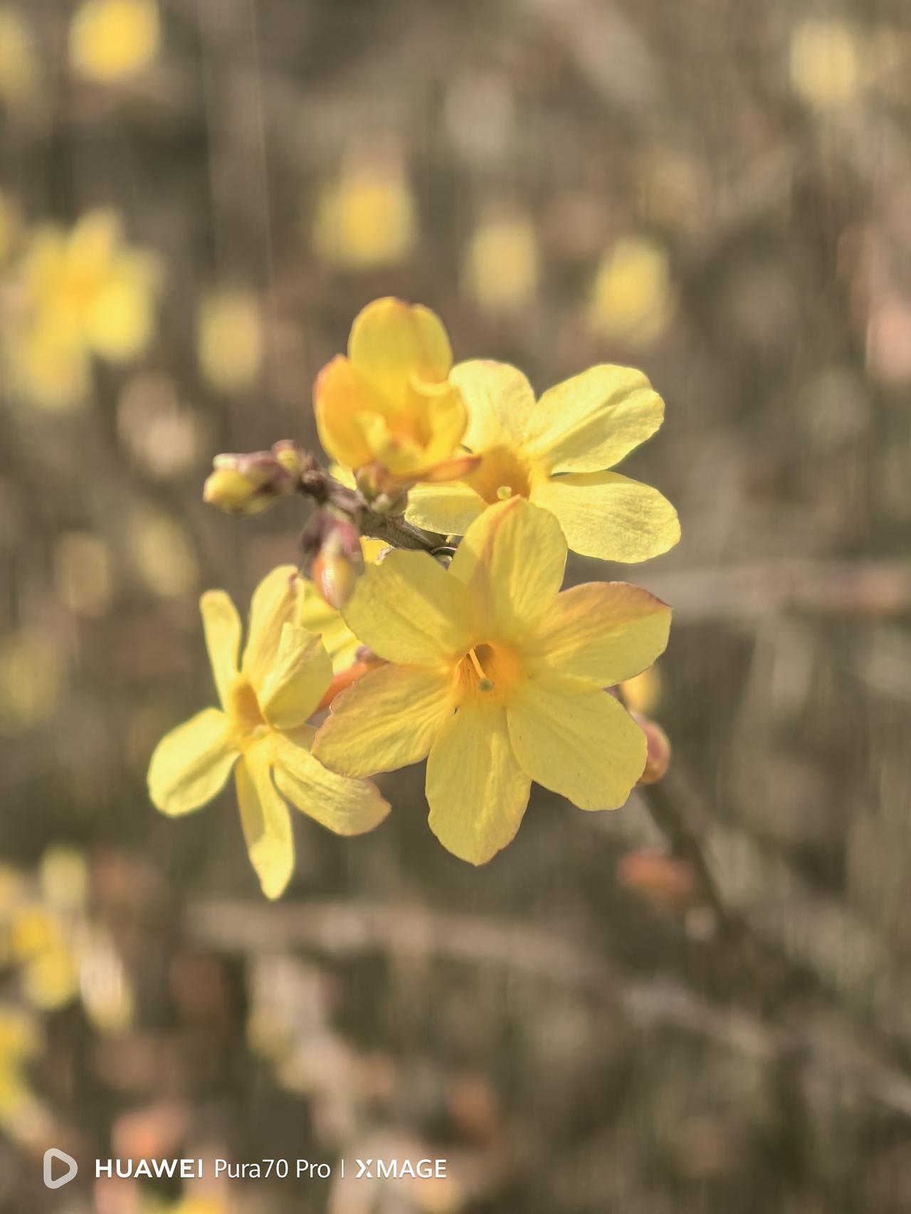 实事求是的讲，有些地方代表委员所提意见建议质量的确不高，但转到基层就要认真对待。