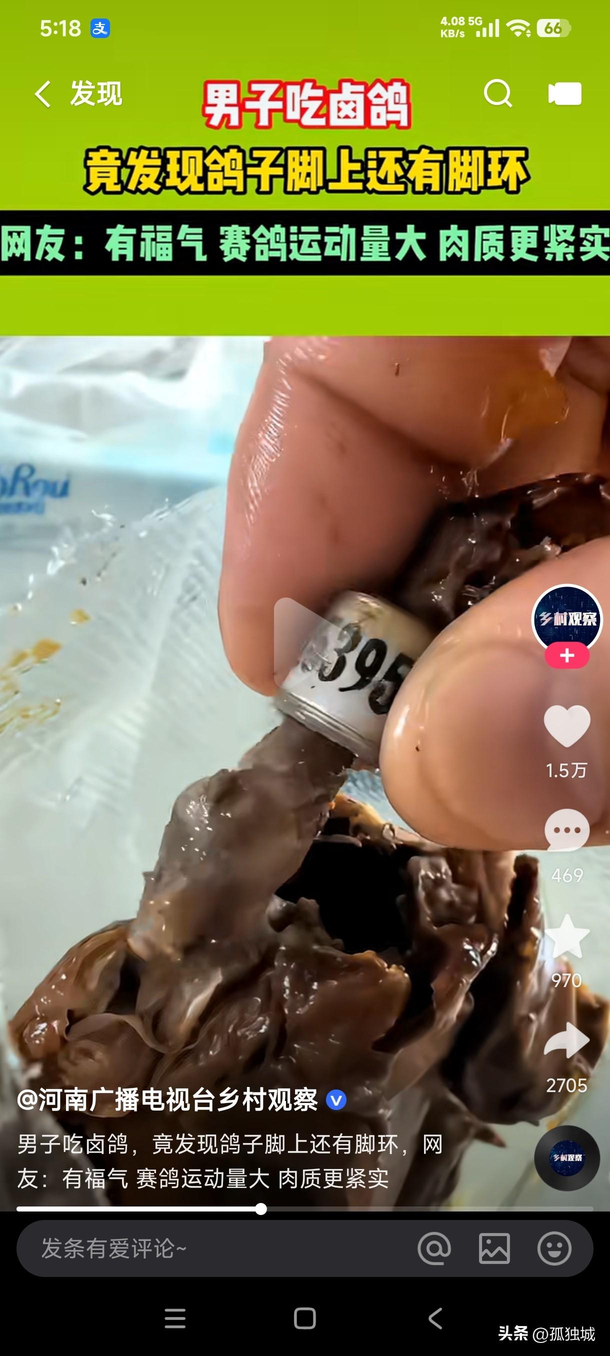 男子吃卤鸽竟发现脚上有脚环，网友都说他有福气，居然吃到了赛鸽的肉，赛鸽运动量大它