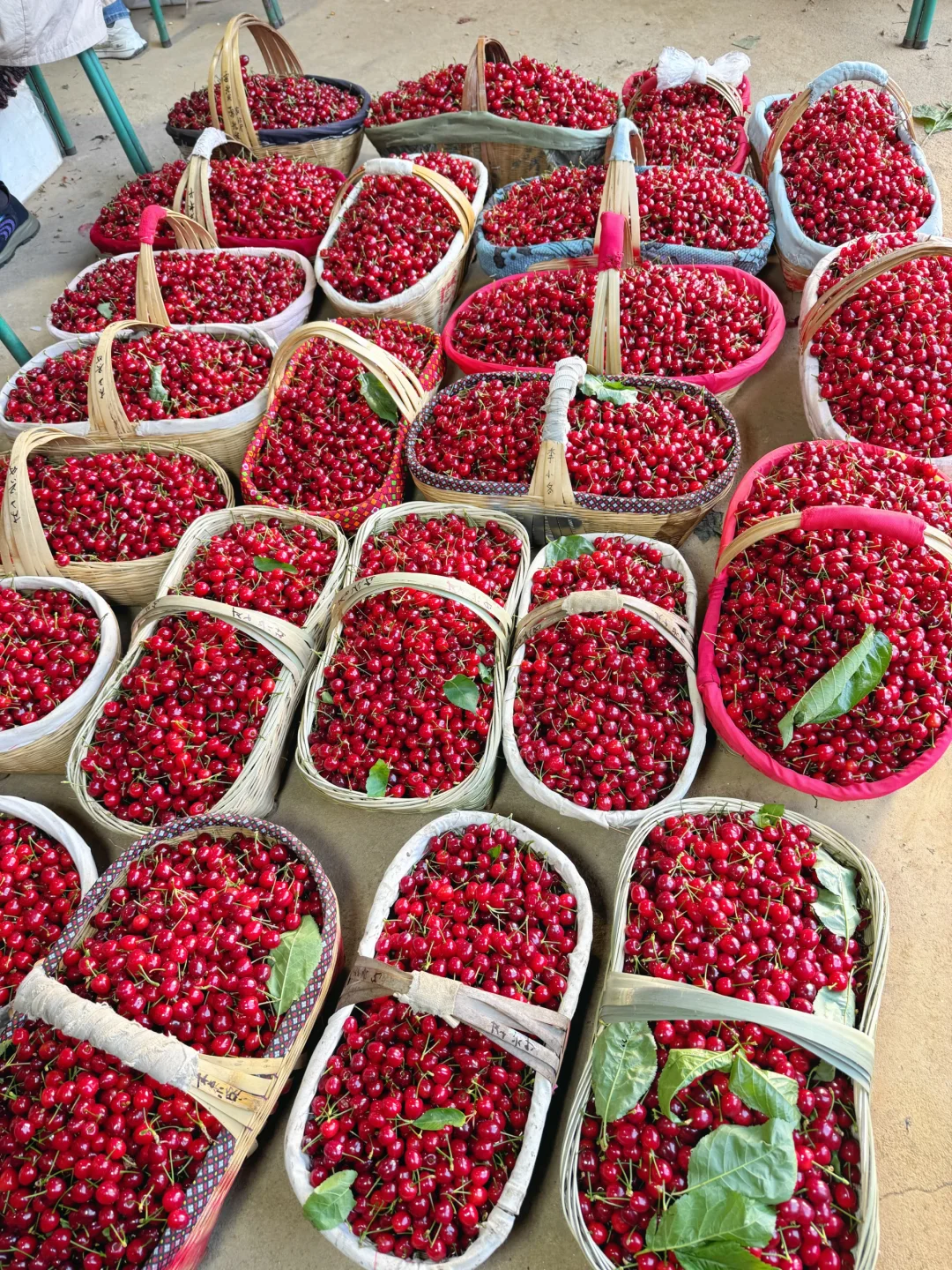丰产期遇到降价，樱桃粉们有口福啦！