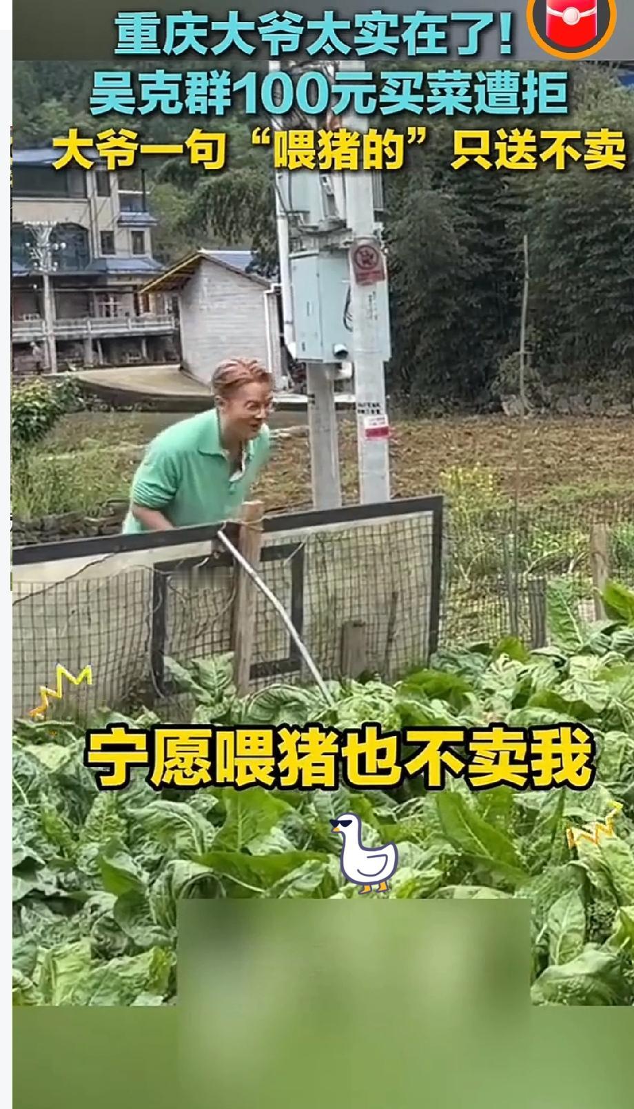 吴克群想不通，大爷手中的菜宁愿喂猪也不卖我。

歌手吴克群在重庆酉阳欲用 100