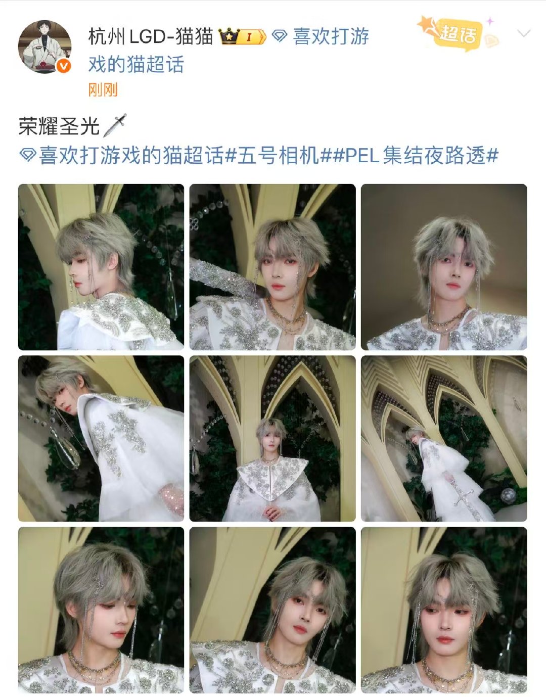 猫猫 这身“荣耀圣光”皮肤，直接把PEL集结夜的红毯变成了个人秀场了。猫猫荣耀圣