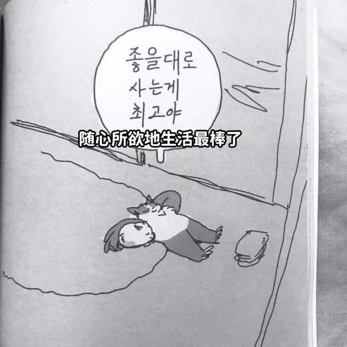韩语梗图ㅈㅅㅈ 