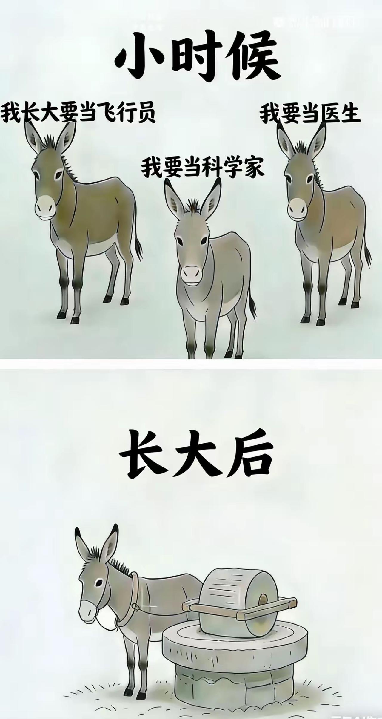 你的梦想实现了吗？还是在拉磨