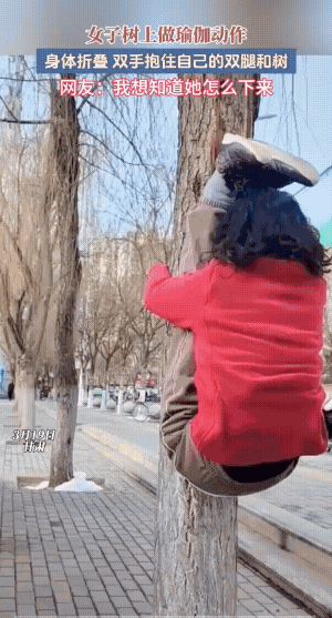 在家练不行吗，为何非要抱着大树练这姿势？练毅力吗？
其实，不少人想知道她咋下来的