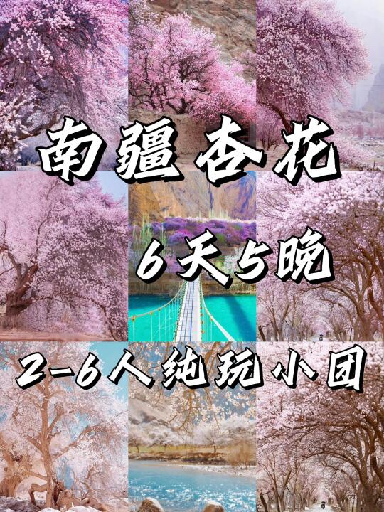 组队去新疆看杏花🌸2-6人纯玩小团