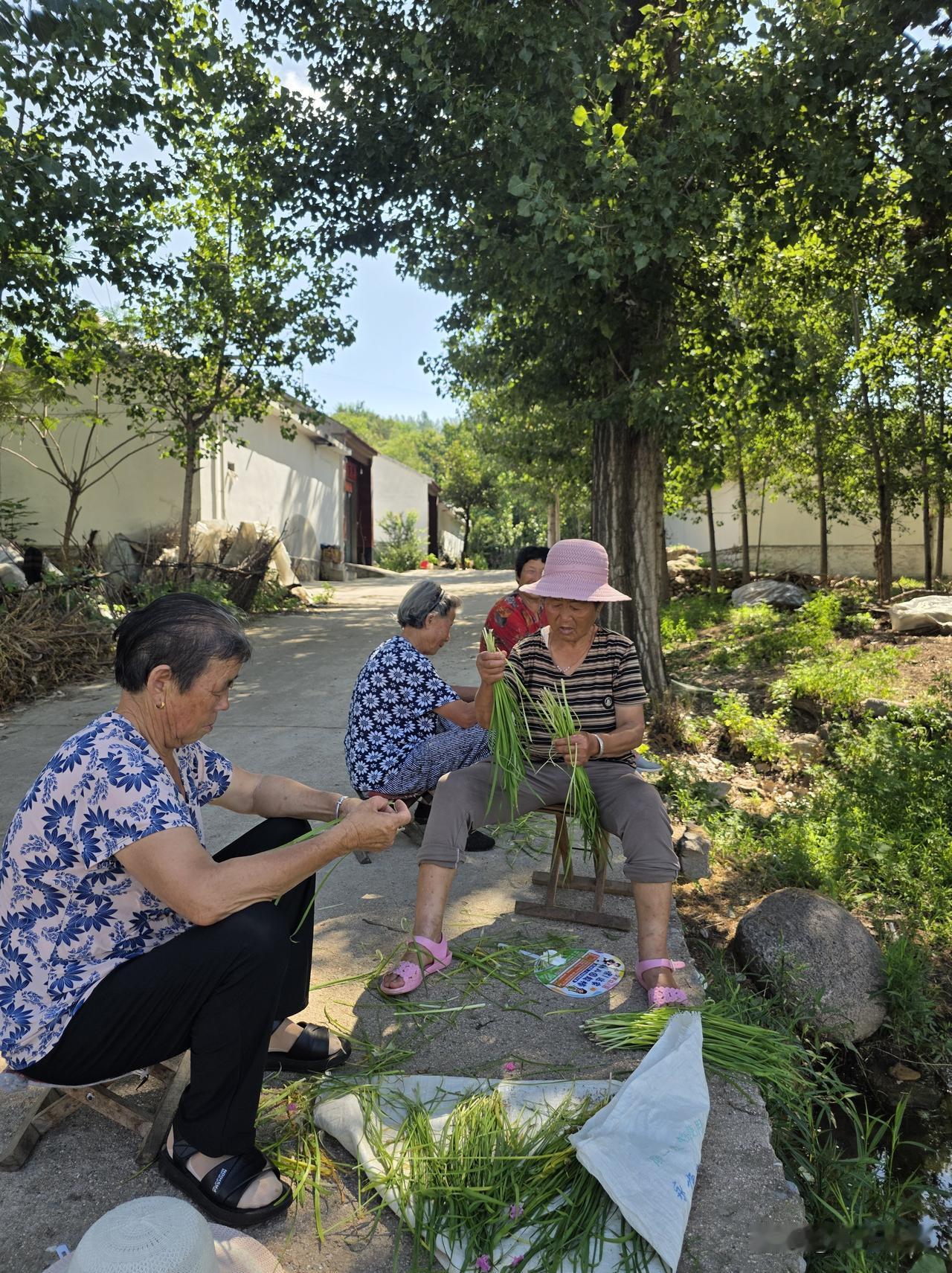 不知道为什么，这几天总是胡思乱想……

这一段身体的两次变故，让我情不自禁想到以