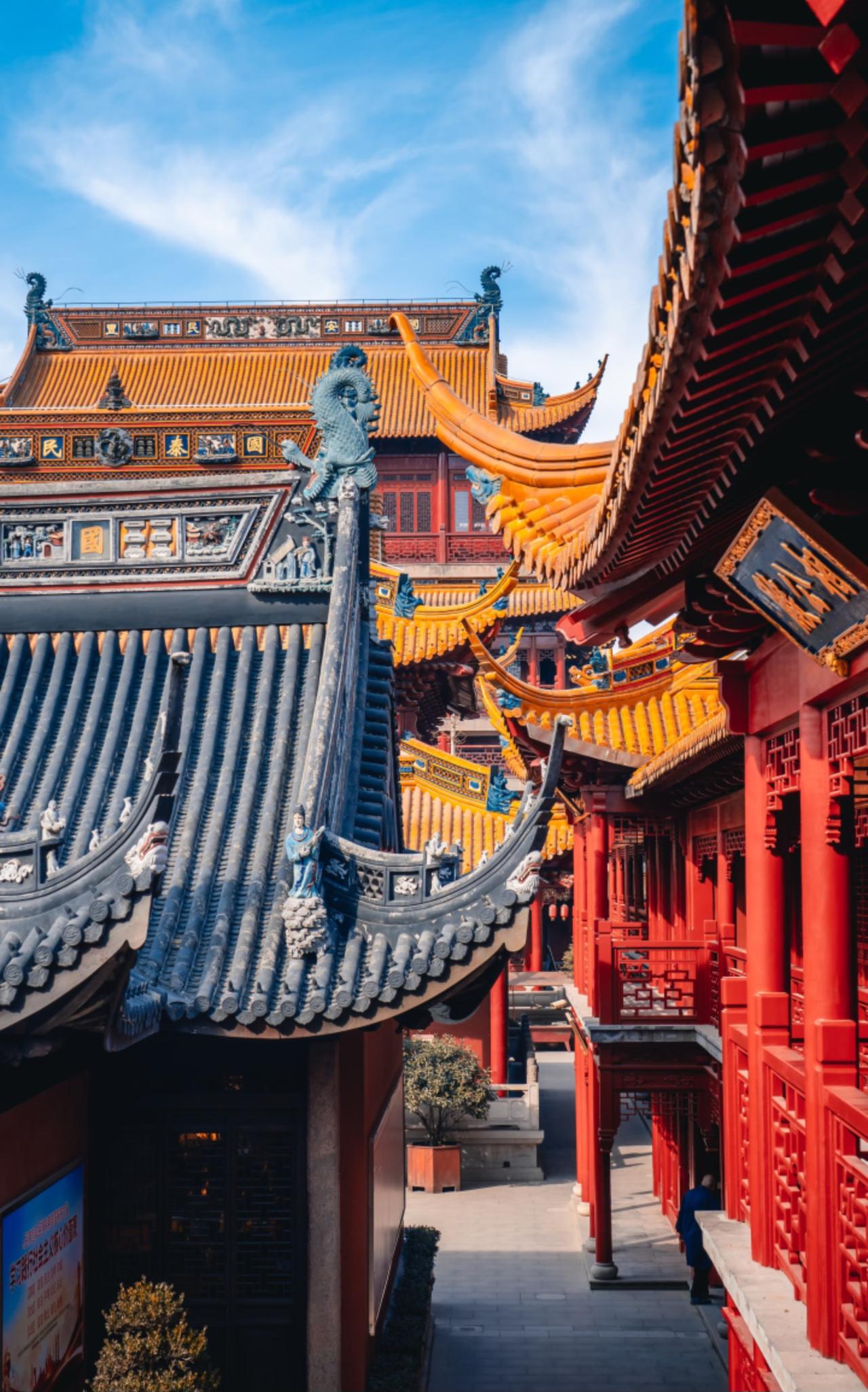 藏在上海市中心的中式美学！
是不是没想到？
在高楼林立的陆家嘴
竟然还藏着一座「