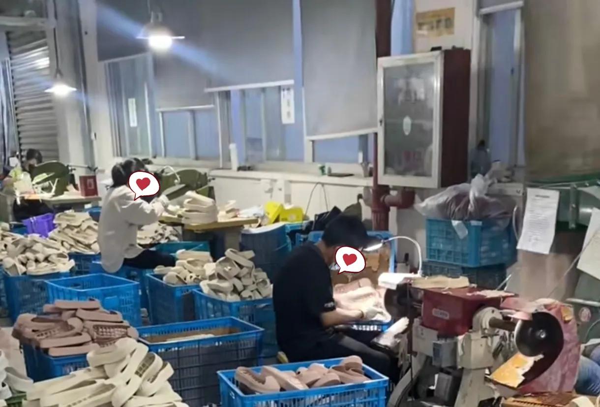 我第一次见识到了家庭小作坊式蚊子工厂的厉害，夫妻两人半年就能净挣小50万。蚊子工