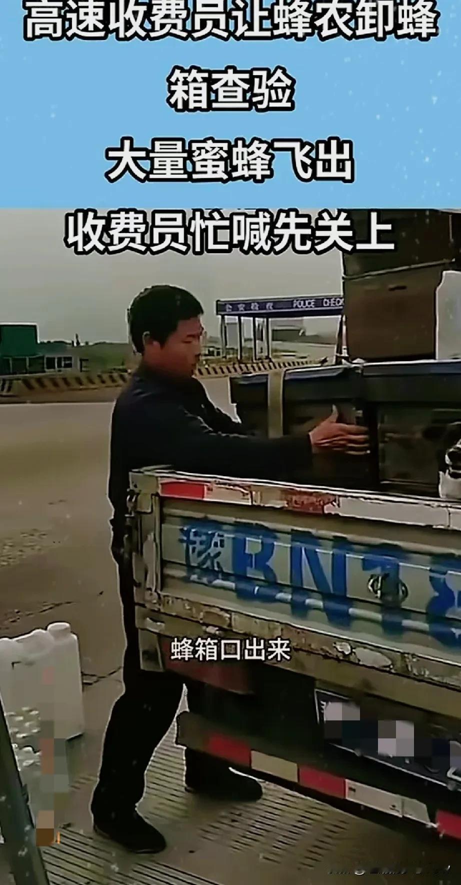 蜂农过绿通，被要求卸货检查，结果飞出一群蜜蜂，在收费员身旁上下翻飞，嗡嗡直叫，收