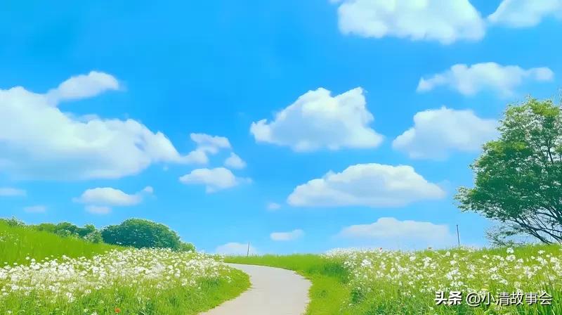 治愈系风景总能让人心情愉悦。垂柳依依的湖边，绿丝绦垂落，老人静坐、孩童嬉戏，湖面