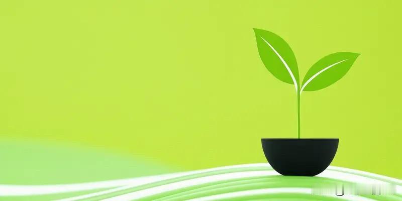 金融工具助力双碳转型那可是大有可为。就拿绿色信贷来说，银行给那些搞环保项目的企业