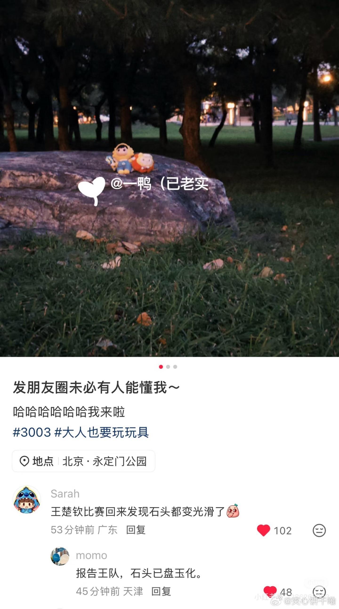 哈哈哈🤣 
