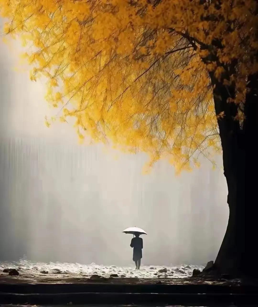 下雨一整天
老天爷也没停下来抽袋烟。

一会儿大雨，一会儿小雨。
好歹没有下暴雨