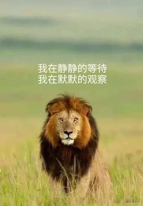 A股：大盘底部形态已显
大盘拉垮，成交量萎缩，高控盘个股出现明显支撑，有关部门不