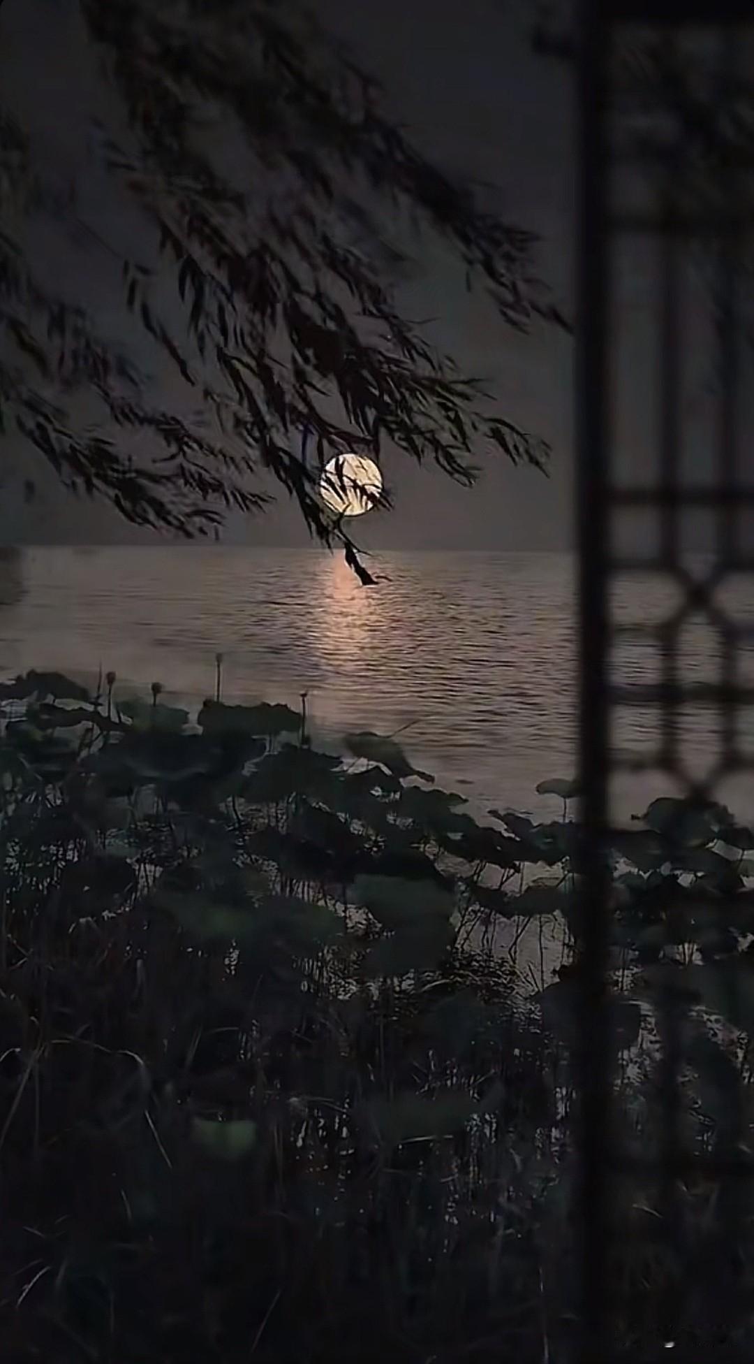 七律·梦短觉深
绮枕魂牵几度春，
醒来窗月已西沉。
樽前泡影须臾散，
枕上繁华过