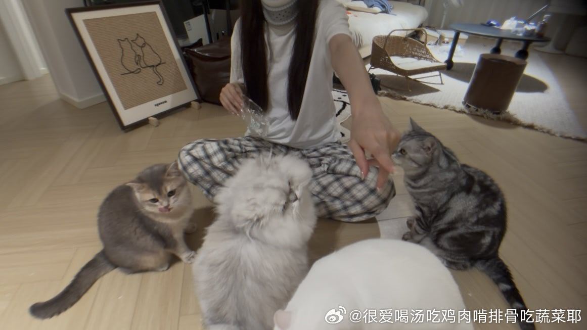 不神秘贪吃教众 
