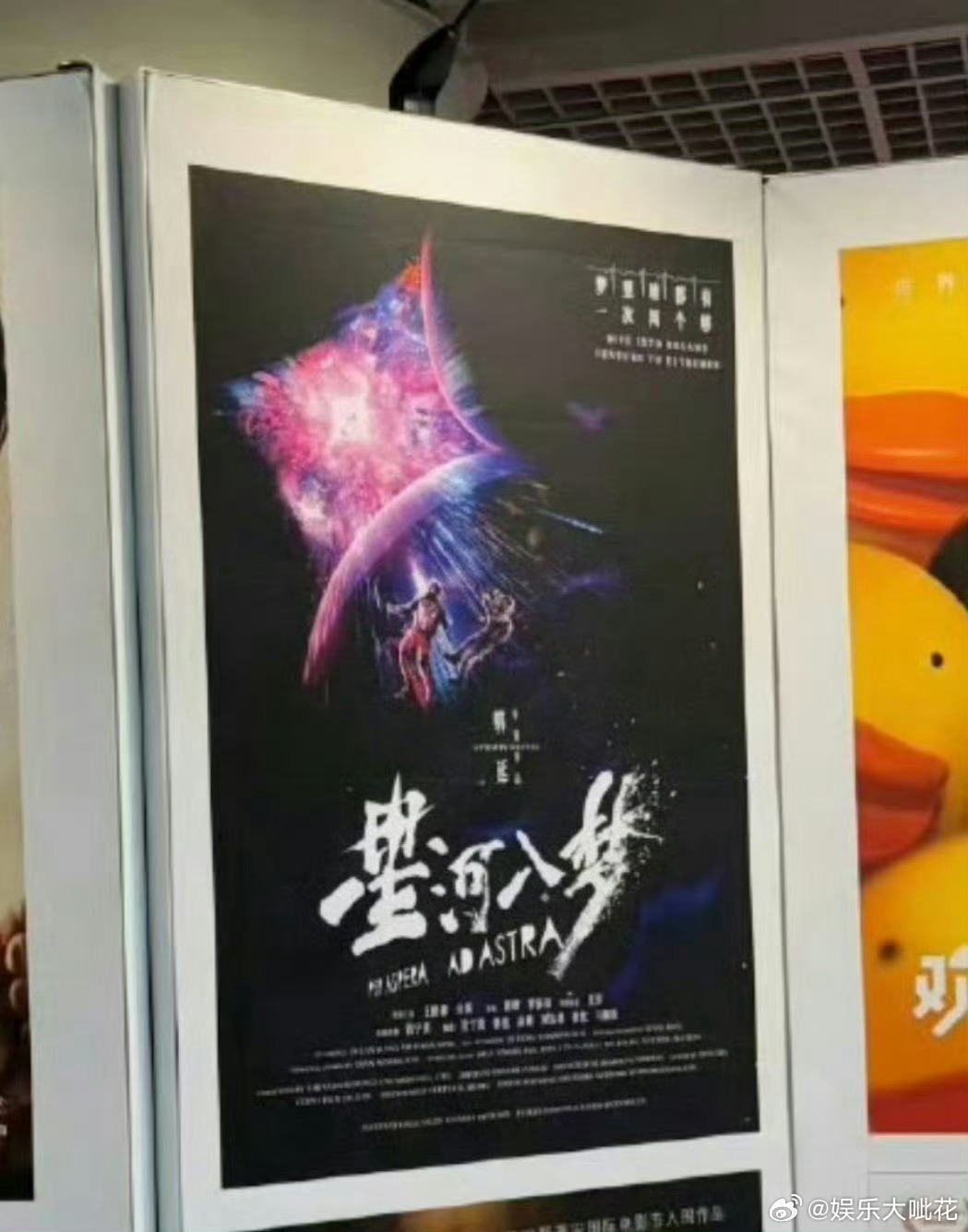 就是追王鹤棣爽！电影电视剧全开花[666]王鹤棣《星河入梦》亮相戛纳电影节！ ​