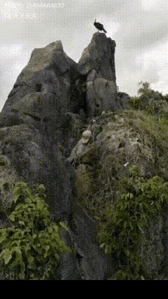 鲲鹏：小子别费劲了，早八百年就算到你今天要来一箭，我配合你演演

一，二，三放…