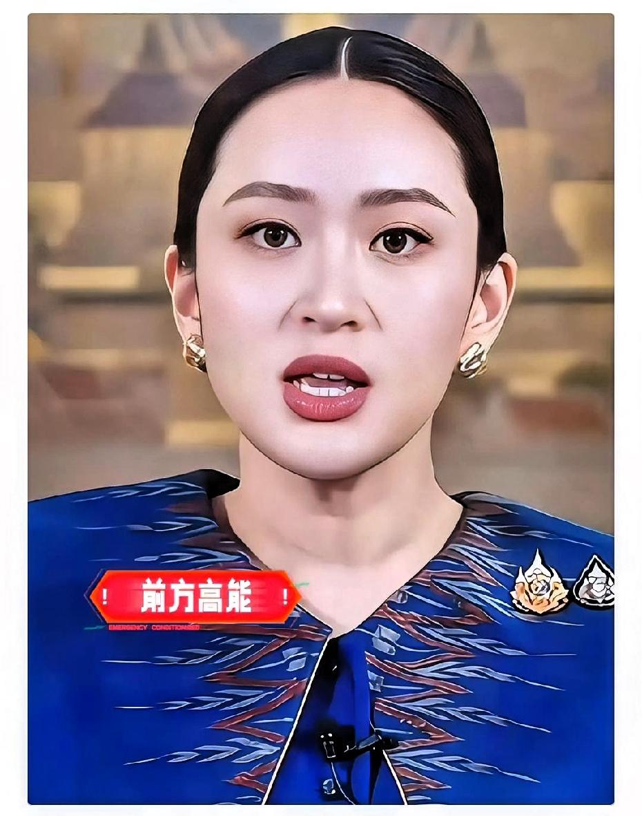 最新消息！
佩通坦宣布辞职！
10月22日，佩通坦宣布辞去为泰党党魁职务。该党2