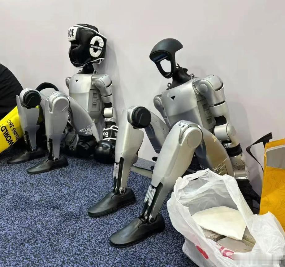 国货统治全球：正在爆发的AI硬件市场 根据《攻壳机动队》的设定，2029年，人类