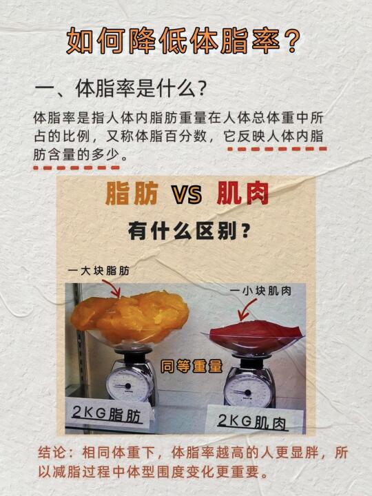如何降低体脂率？