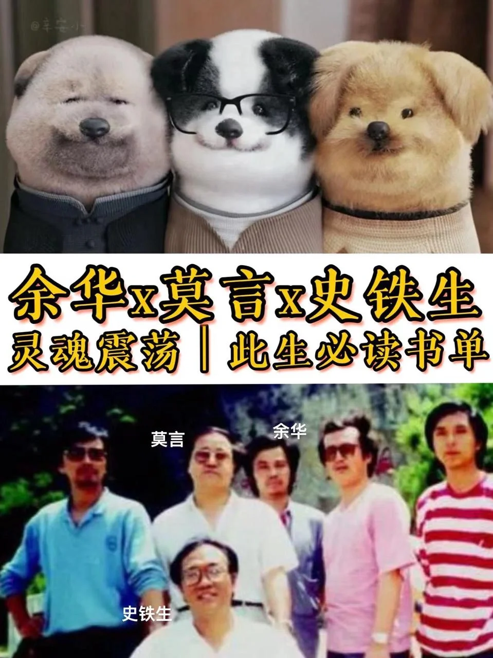 灵魂震撼必看书单︱莫言➕史铁生➕余华作品