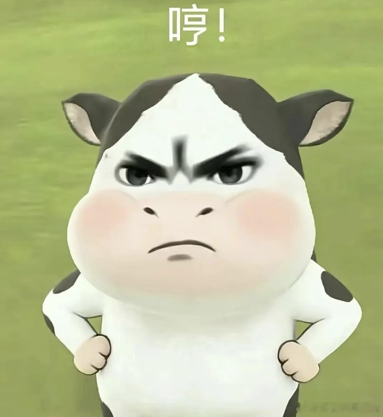 谁家的小㊗️手把我主页给犁了一遍 