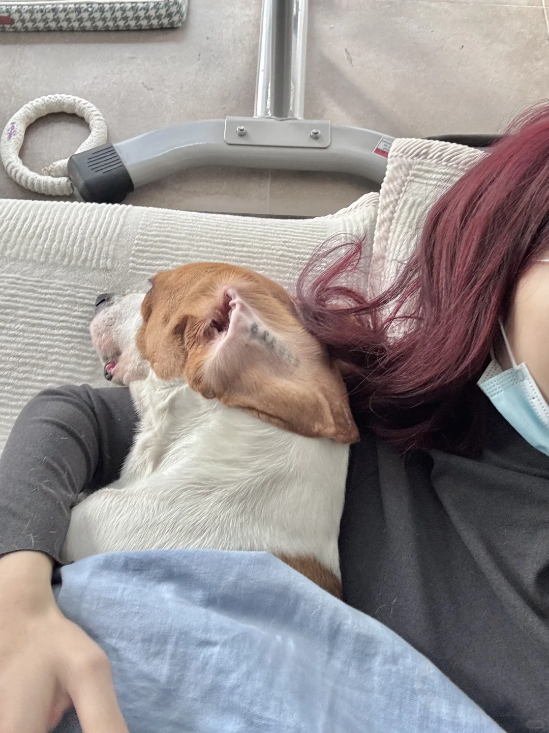 哎呀，胳膊被它枕麻了